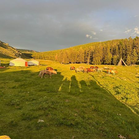 Hotel Sara'S Camp Zuunmod Zewnętrze zdjęcie